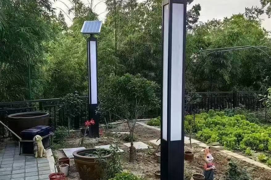 西双版纳州太阳能路灯应用场景实拍